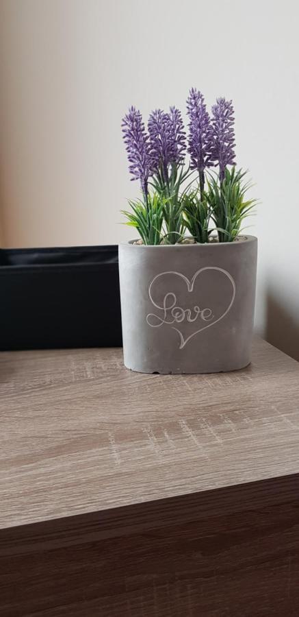 Boglárka Apartman Hajdúszoboszló Kültér fotó